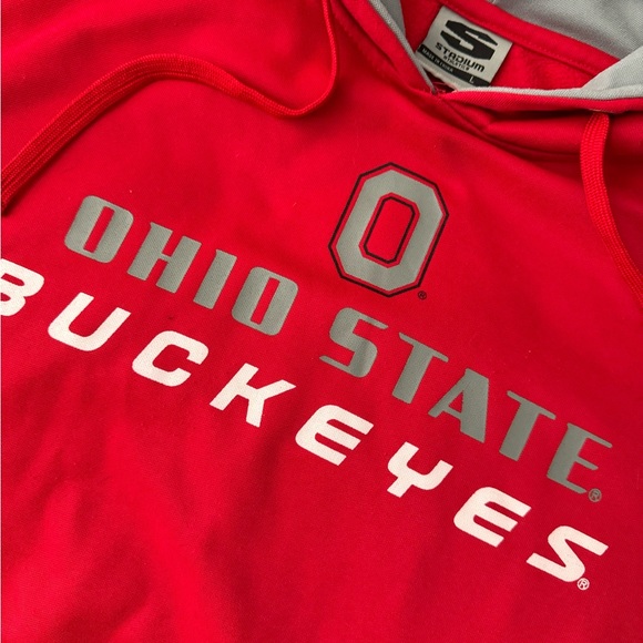 #202 OHIO STATE BUCKEYES (stadium) HOODIE - Picture 3 of 10